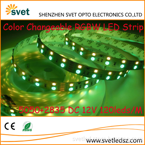 CE RoHs Waterproof 5050 RGB + 2835 WW / W DC 12V 24V Addressable Rgbw Led Strip Light Flexible PVC for Christmas Decorations